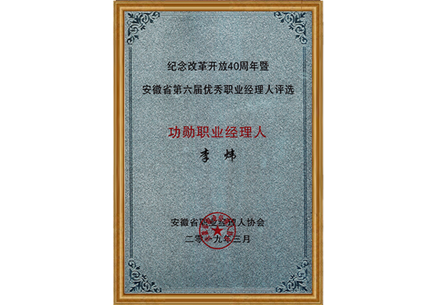 2019年 安徽356体育网站股份有限公司董事长李炜先生获评“功勋职业经理人”